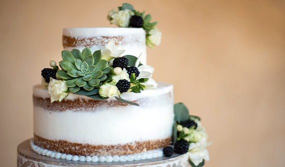 Bridal Registry