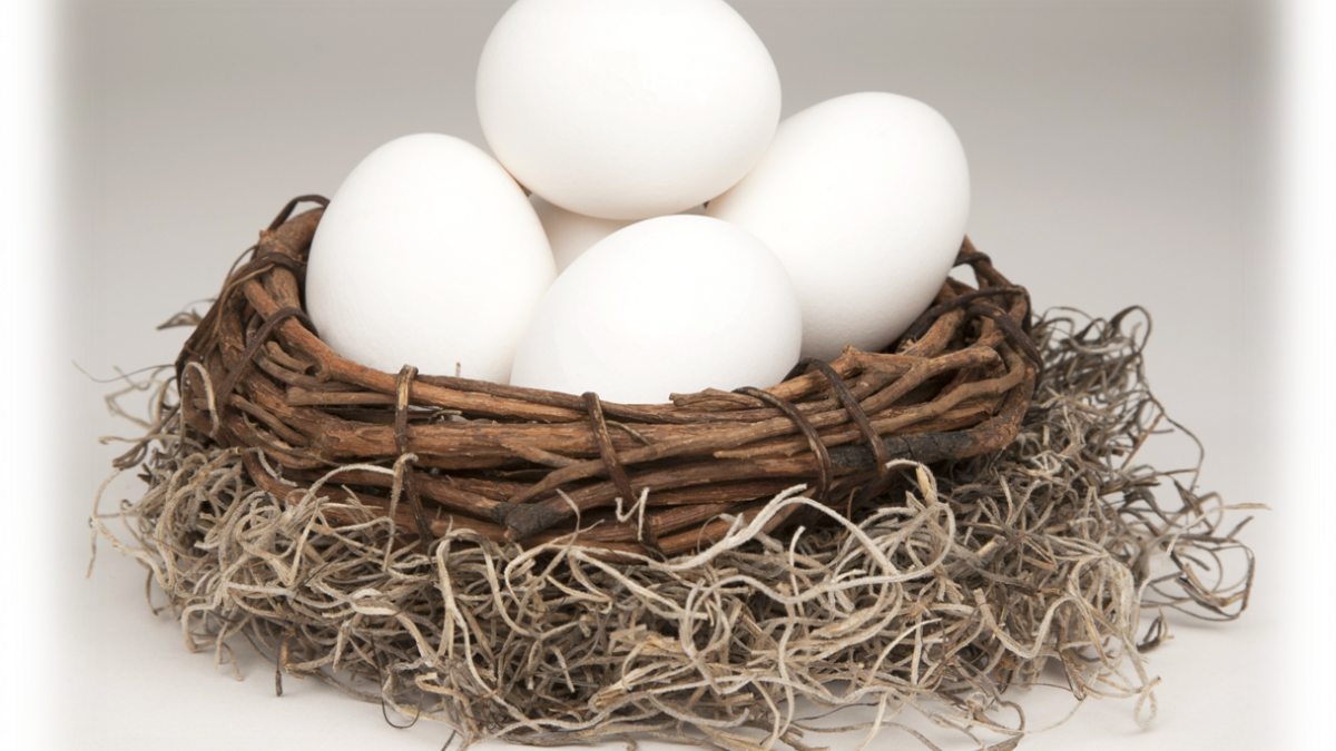 investment-eggs